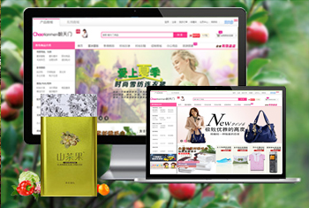 �ڽ��������̳�