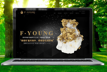 �ڽ��������ﱦʯ